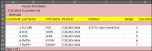 Screenshot of a Sample Customer List in Excel